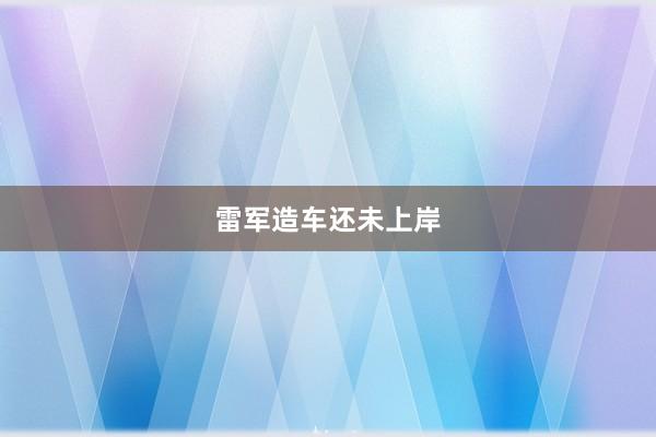 雷军造车还未上岸
