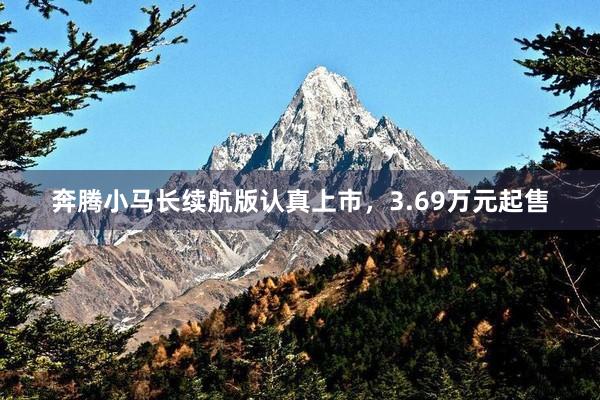 奔腾小马长续航版认真上市，3.69万元起售