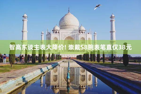 智高东谈主表大降价! 崇戴S8腕表笔直仅38元