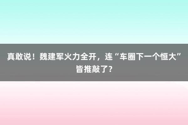 真敢说！魏建军火力全开，连“车圈下一个恒大”皆推敲了？